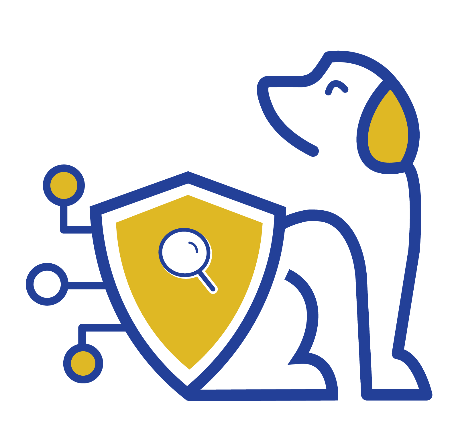 ScanDog | Simplifying Vulnerability Management – Protect Your Business.